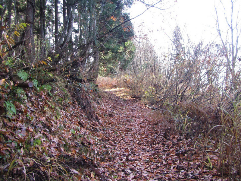 晩秋の中山峠