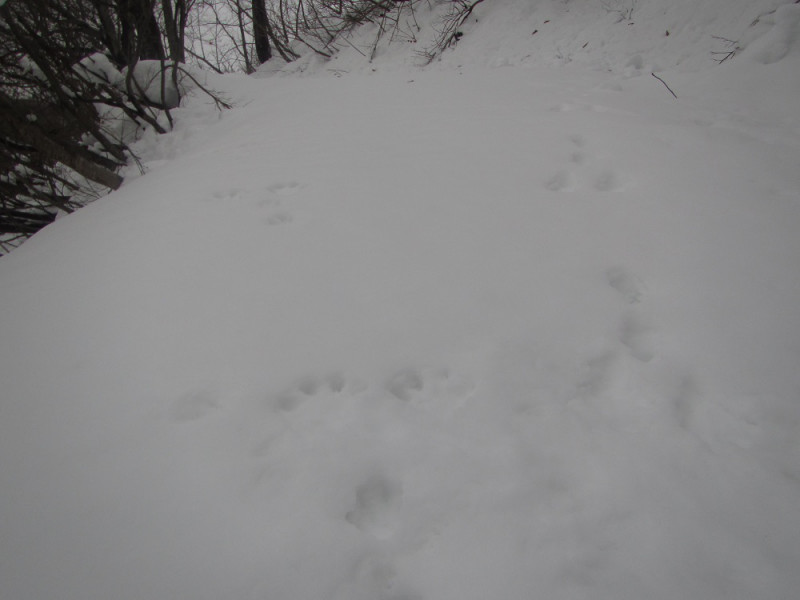 「命のトンネル」中山隧道、積雪期の中山峠を歩く。2