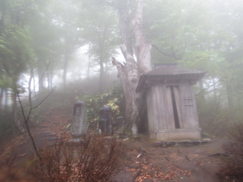 「命のトンネル」中山隧道、カタクリの花咲く雨の中山峠を歩く。2