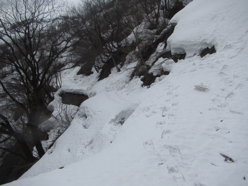 もうひとつの点線国道 雪の八十里越2