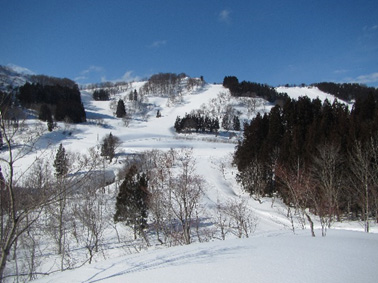 廃スキー場？のいま3